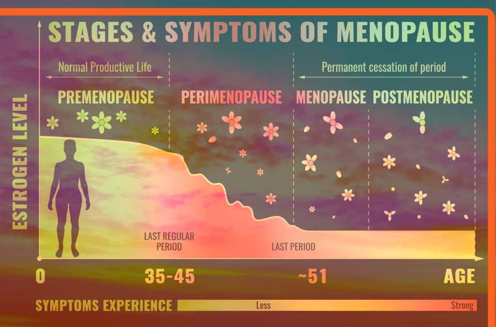 Stages and symptoms of menopause